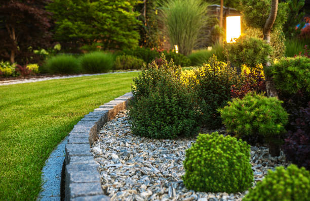 Landscaping for New Construction Homes: Fast-Growing Plants for Shade & Privacy